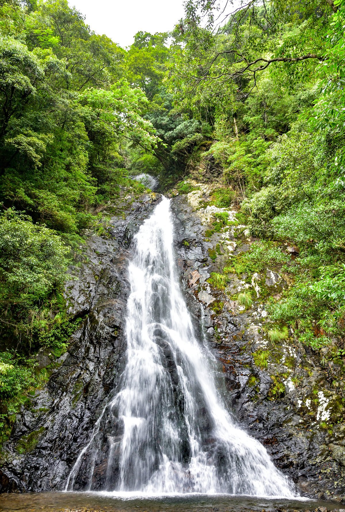 🏞️ 야세오 폭포(야세오노타키) 이미지 5